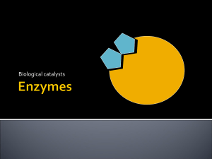 Simplify Enzymatic activity