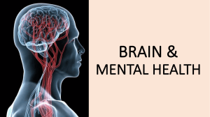 brain and mental health