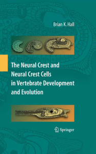 The Neural Crest and Neural Crest Cells in Vertebrate Development and Evolution (Brian K. Hall (auth.), Brian K. Hall (eds.)) (Z-Library)