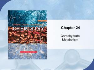 pdfslide.net chem-45-biochemistry-stoker-chapter-24-carbohydrate-metabolism-58f9dc81791f4