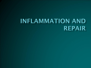07-inflammation (1)