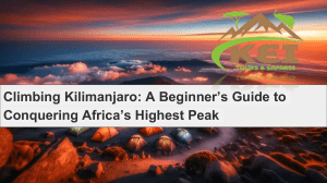 Scaling Africa's Highest Peak: Your Kilimanjaro Climbing Handbook