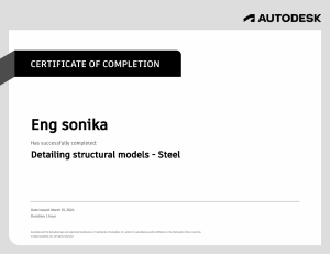 detailing structural models - steel
