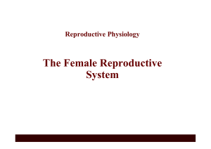 2-Female Reproductive
