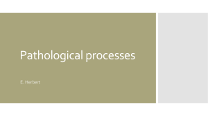 Pathological processes 2024