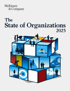 the-state-of-organizations-2023