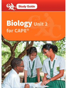 biology unit 2 study guide