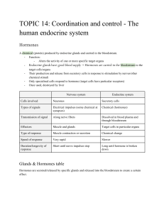 IGCSE Biology - Topic 14: Coordination and Control - Human Endocrine System - Pei Jun