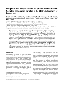 (2006) Izuta et al-2006-Genes to Cells