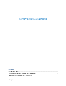 SAFETY RISK MANAGEMENT