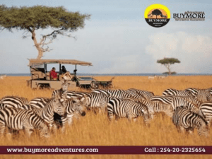 The Perfect Quality Luxury Safari Kenya