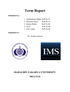 Term Report ARM