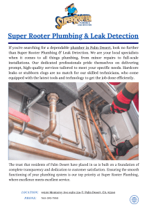 Super Rooter Plumbing & Leak Detection
