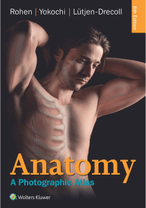 Anatomy. A Photographic Atlas-compressed