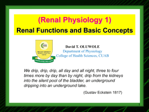 Renal Functions & Basic Concepts