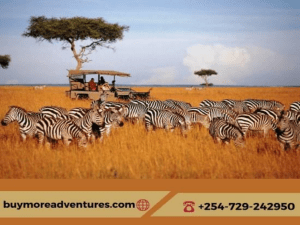 Experiencing the Thrill of the Masai Mara Migration Safari: A Journey of Natural Wonder