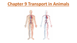 transport in animals