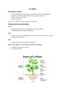 Biology U9 - Plants