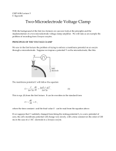 Voltage Clamp