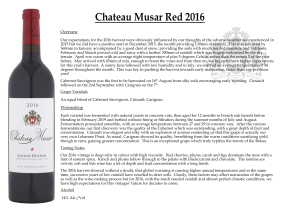 Chateau-Musar-Red-2016-Tasting-Notes