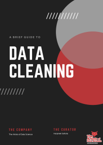 Data Cleaning Cheatsheet