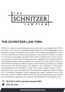 The Schnitzer Law Firm
