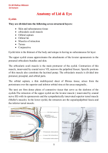 1-Anatomy of Lid & Eye