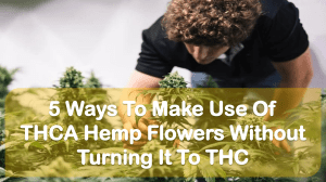 5 Ways To Make Use Of THCA Hemp Flowers Without Turning It To THC