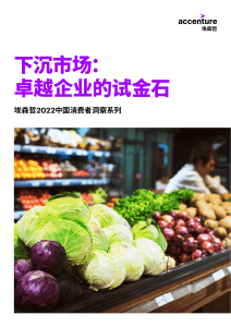 Accenture-2022-Consumer-Insights-in-Chinas-Sinking-Market