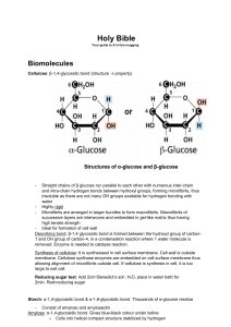 Bio bible ver 5