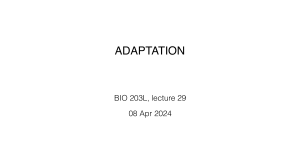 29 Adaptation (1)