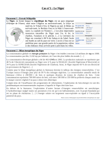 Étude de cas : Le Niger - Énergie et ressources