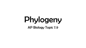 4 - AP Biology Topic 7.9 Phylogeny Animated PowerPoint 2