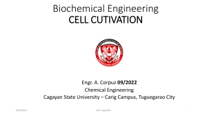 2 Biochemical-Engineering Cell-cultivations