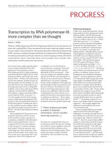 tRNA transcription