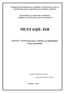 MUSTAQIL ISH 1