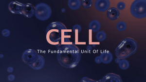 cell-g-9