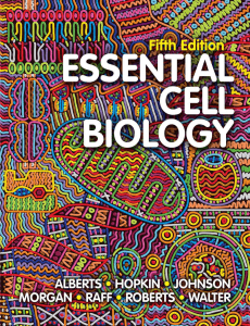 Essential Cell Biology -- Bruce Alberts -- 5, 2018 -- W. W. Norton -- 9780393679533 -- 42d6029f41c03cfe9b76c0db3ae7dc66 -- Anna’s Archive