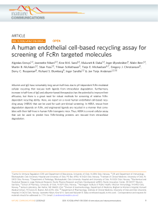 A human endothelial cell-based recycling assay for screening of FcRn targeted molecules