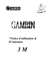 Gambin 3M manuel (1980)