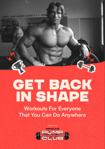 Arnold Workout Guide 2024
