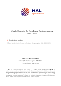 Crespin, D. - Matrix Formulas for Semilinear Backpropagation