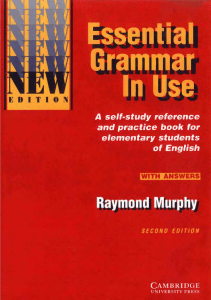 essential grammar in use elementary a selfstudy reference an