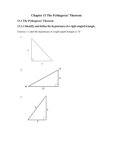 Chapter 13 The Pythagoras Theorem Activity worksheet