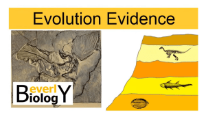 evolution evidences living-fossils (1)