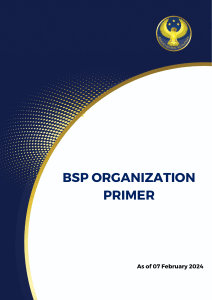 BSP-Org-Primer