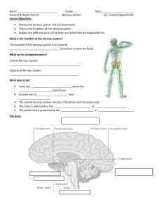 nervous system gen sci fill in blank notes