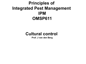Cultural control Lecture 2. 2023. OMSP611 Cutworm and Nysius