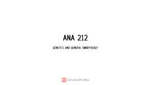 ANA 212 EMBRYOLOGY pdf