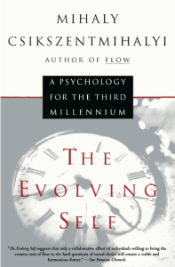 THE EVOLVING SELF A PSYCHOLOGY FOR THE T